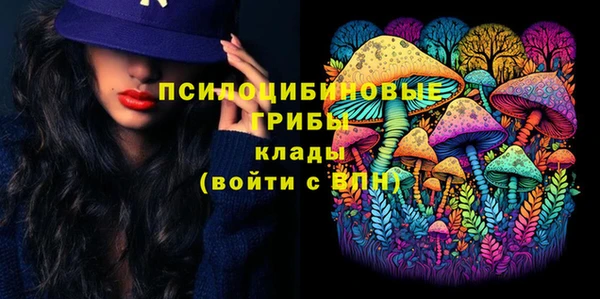прущая мука Няндома