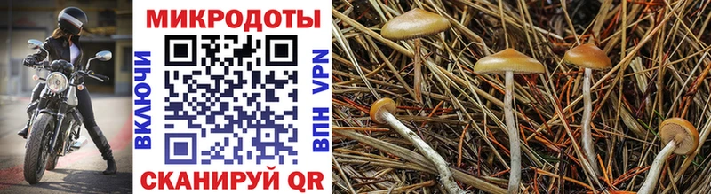 Галлюциногенные грибы GOLDEN TEACHER  Арсеньев 