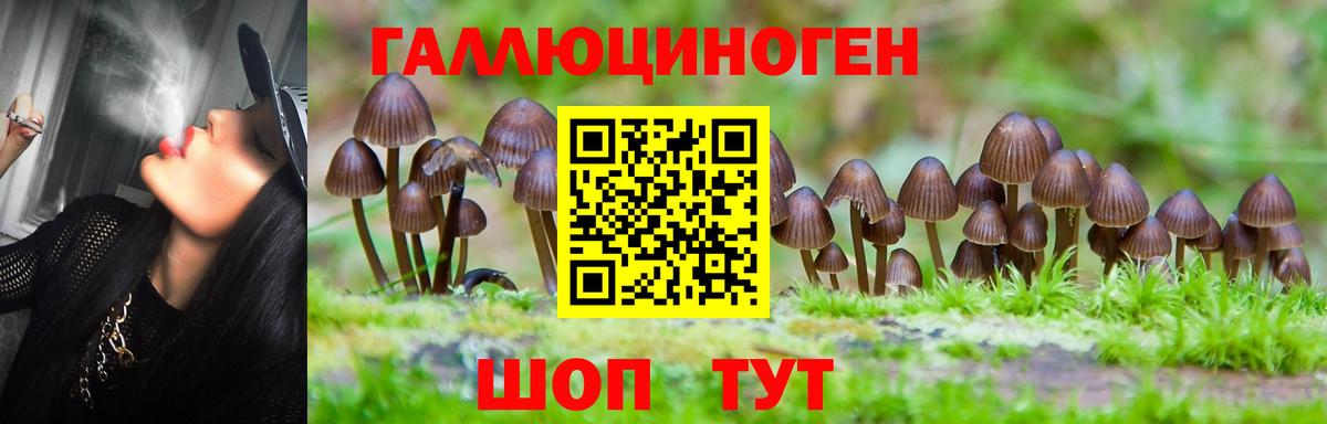 Галлюциногенные грибы GOLDEN TEACHER Арсеньев